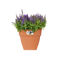 vibia campana square 37cm terra